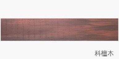 Ležanje vanjskih pločica s efektom poda od čvrstog drveta za trijem i zid vile